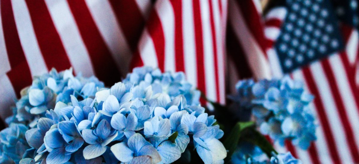 Fourth of July Faux Cookout Menu!