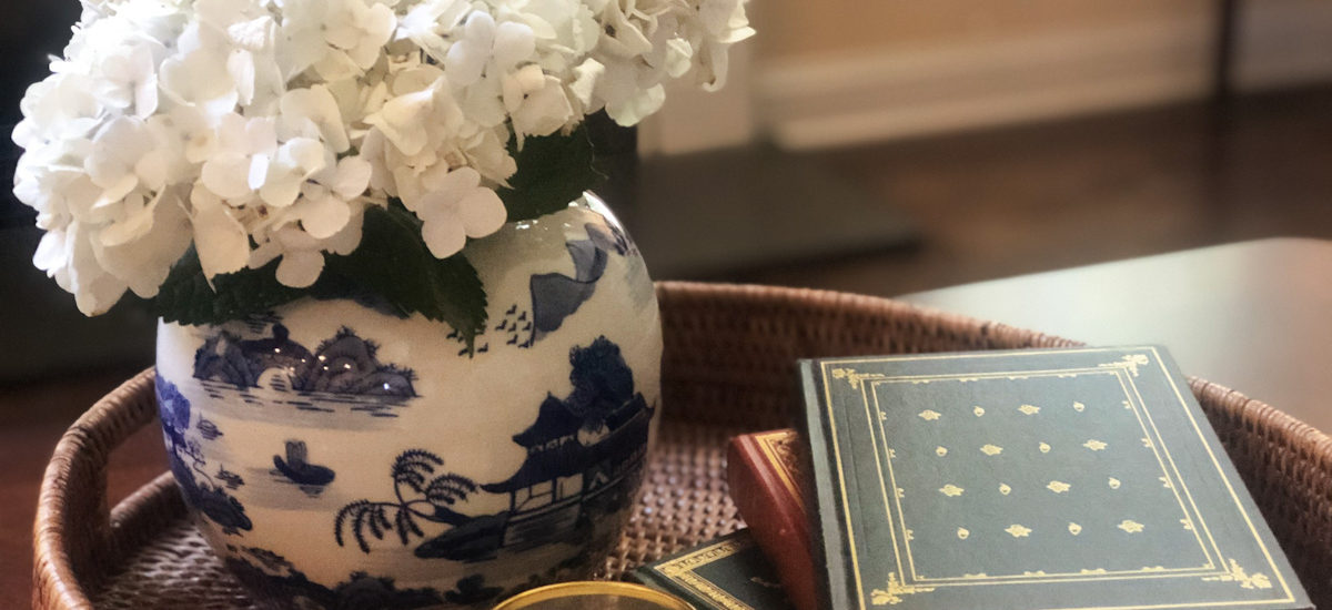 Book Club – The Socially Distanced edition!